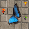 Butterfly Tile Slide: Picture Puzzle Challenge
