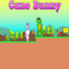 Cano Bunny:Carrot Sprint Challenge