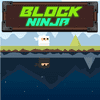 Block Ninja Twin Shadows